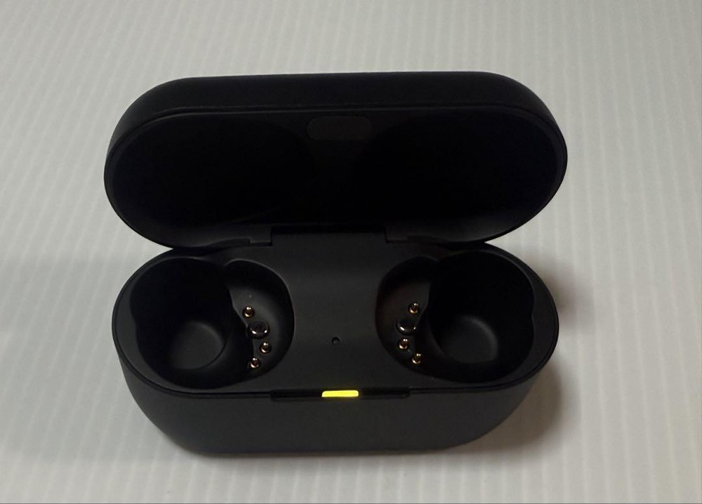 Panasonic Technics EAH-AZ80 Charging Case Only Black genuine PNWECAZ80KC