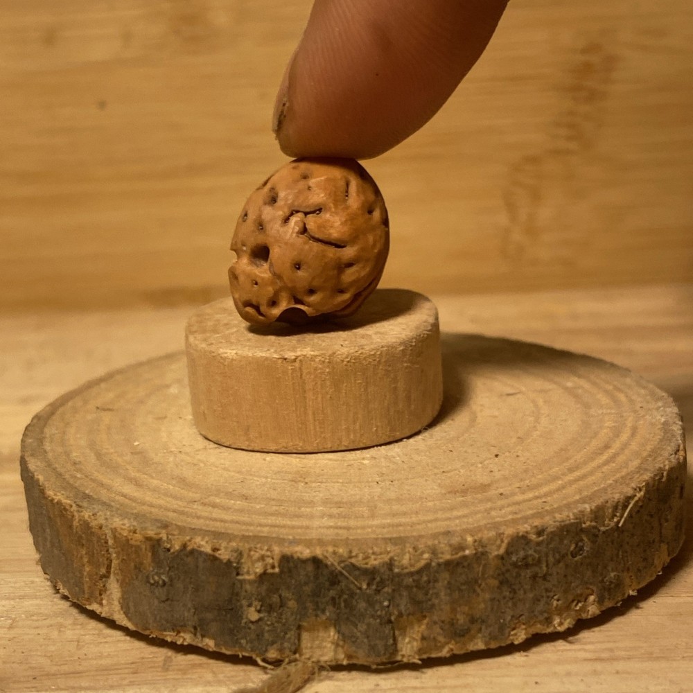 Miniature Skull 13 Carved From A Peach Pit