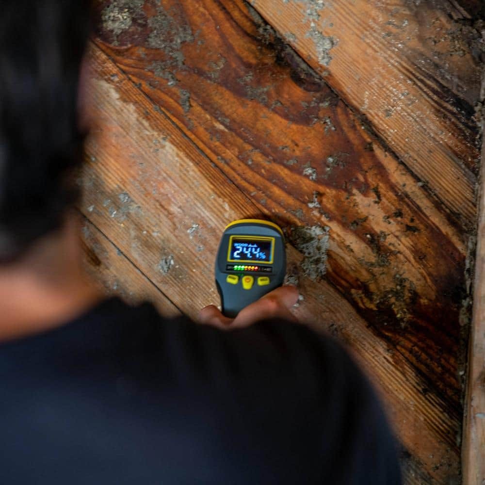 General Tools Moisture Meter Combo Pin &Pinless for Water Damage&Mold Prevention