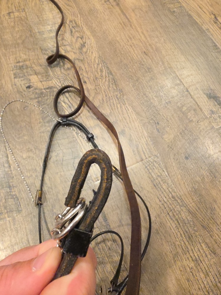 arabian horse show halter