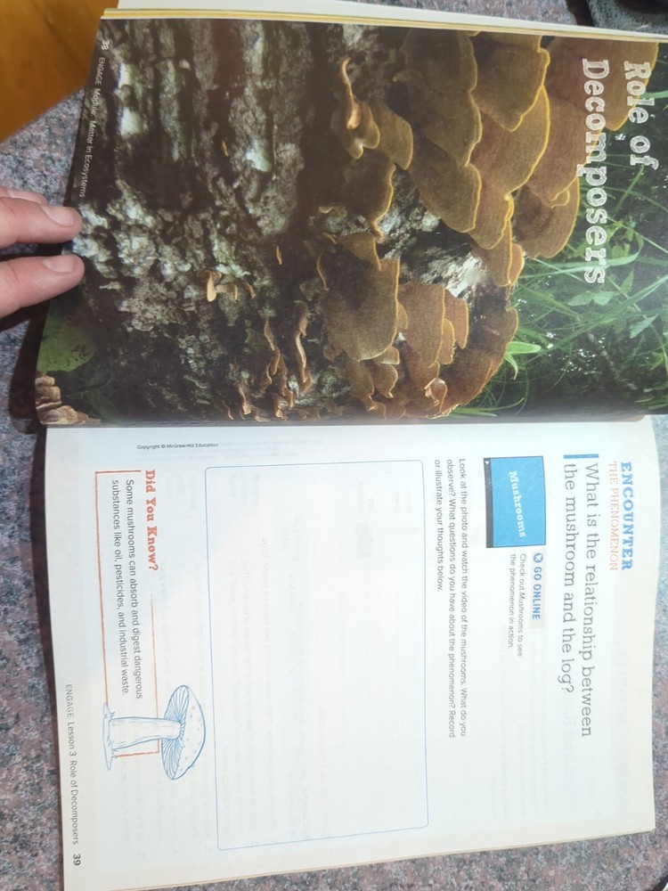 Inspire Science Ser.: Inspire Science: Grade 5, Student Edition, Unit 2 by...