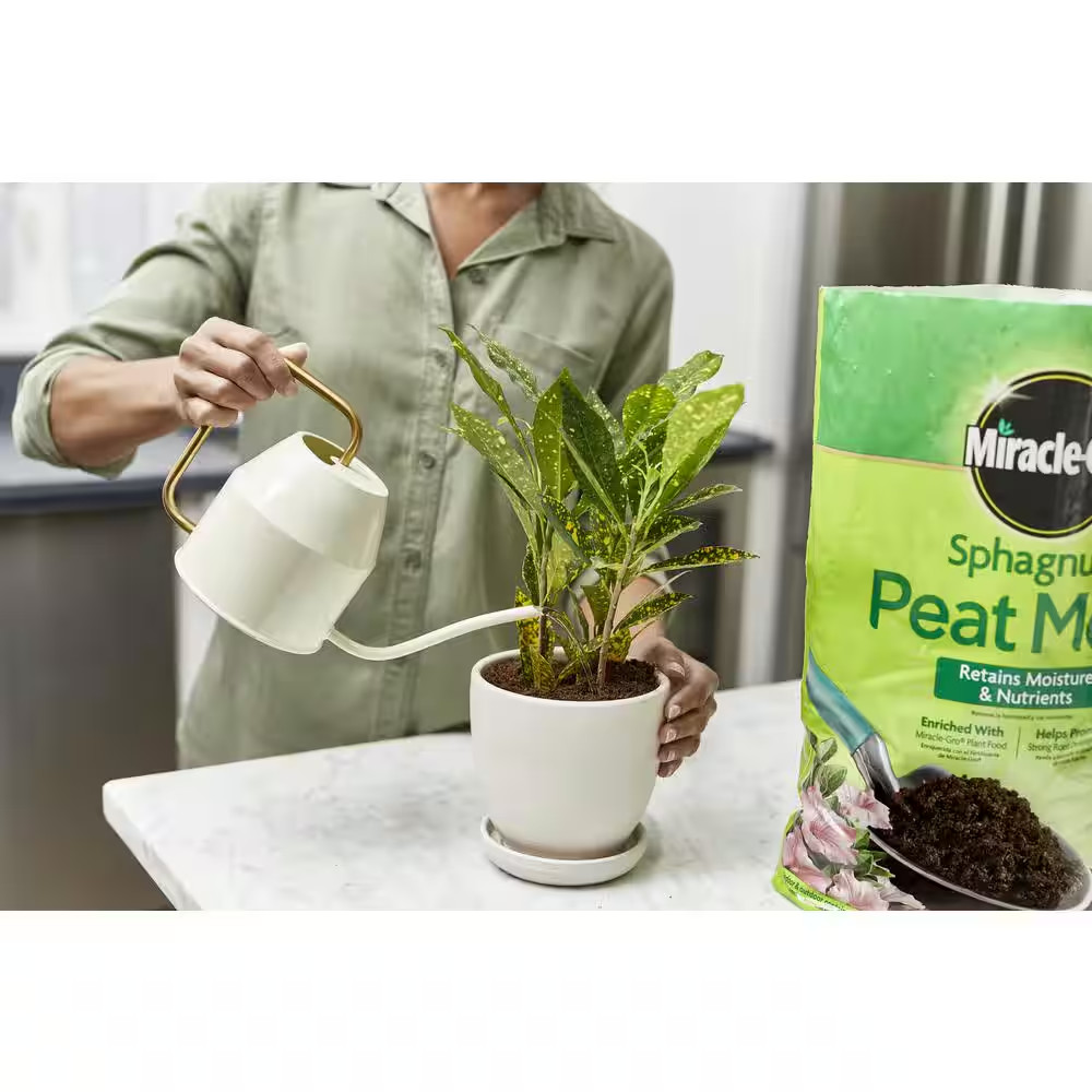 Sphagnum Peat Moss Soil
