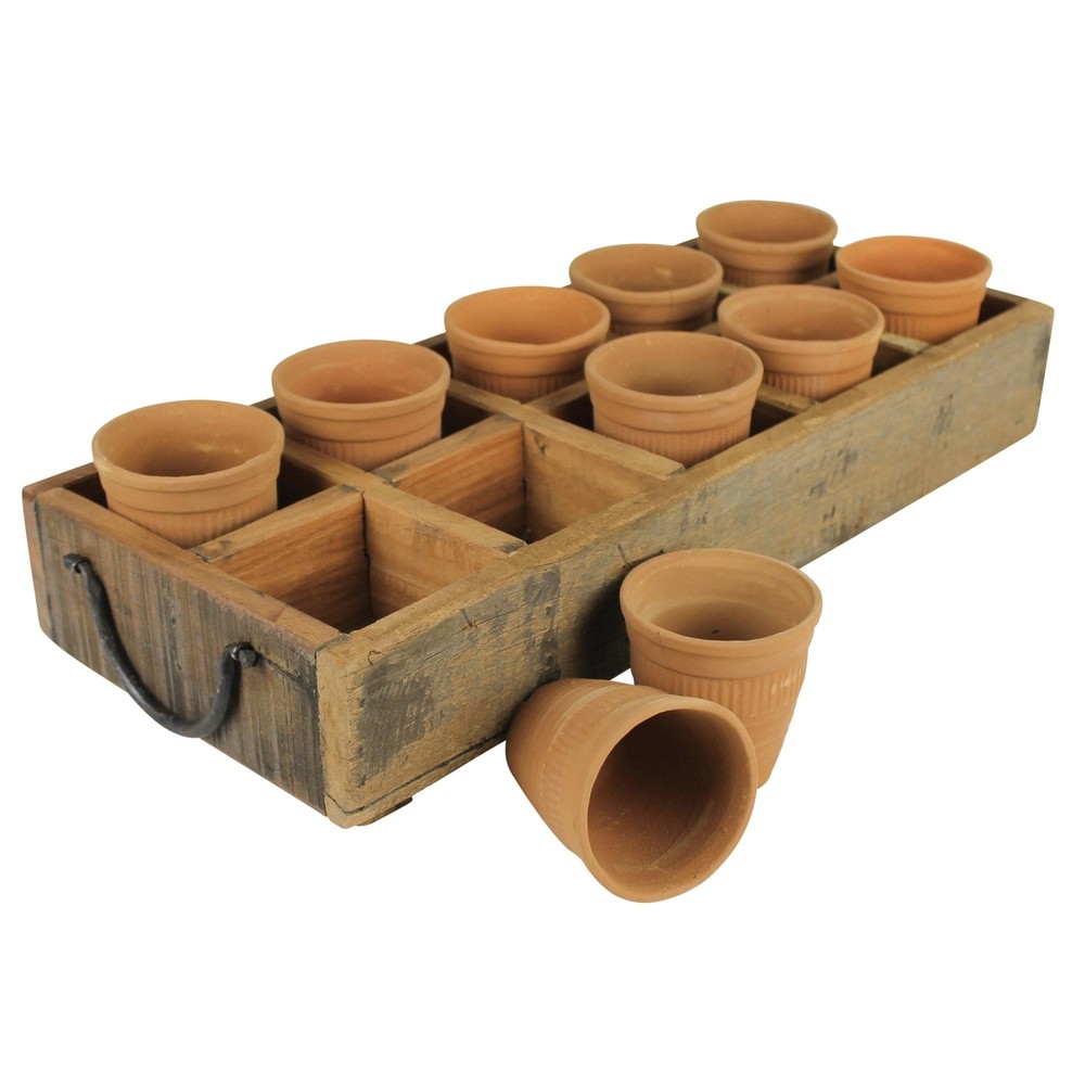 Rustic Wood Caddy Tray with Round Terracotta Orange Pots