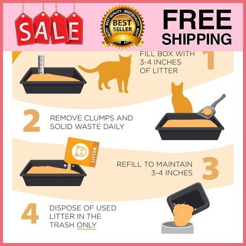 (2 pack) ARM & HAMMER Double Duty Cat Litter, Advanced Odor Control Clumping