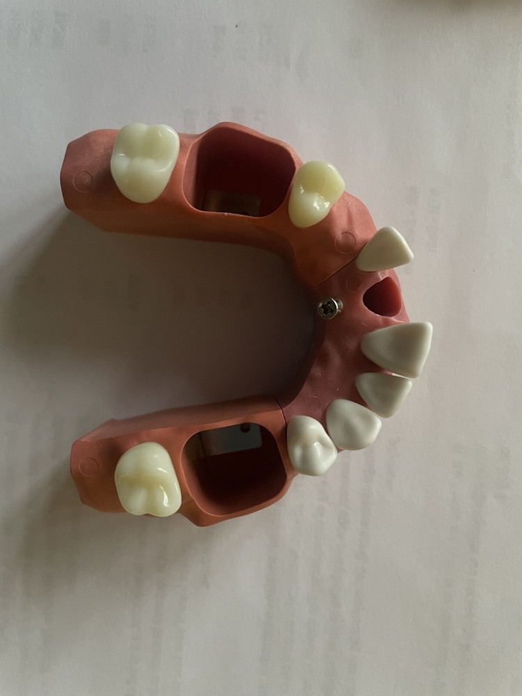 ACADENTAL ENDO Upper Anterior Module( M200)