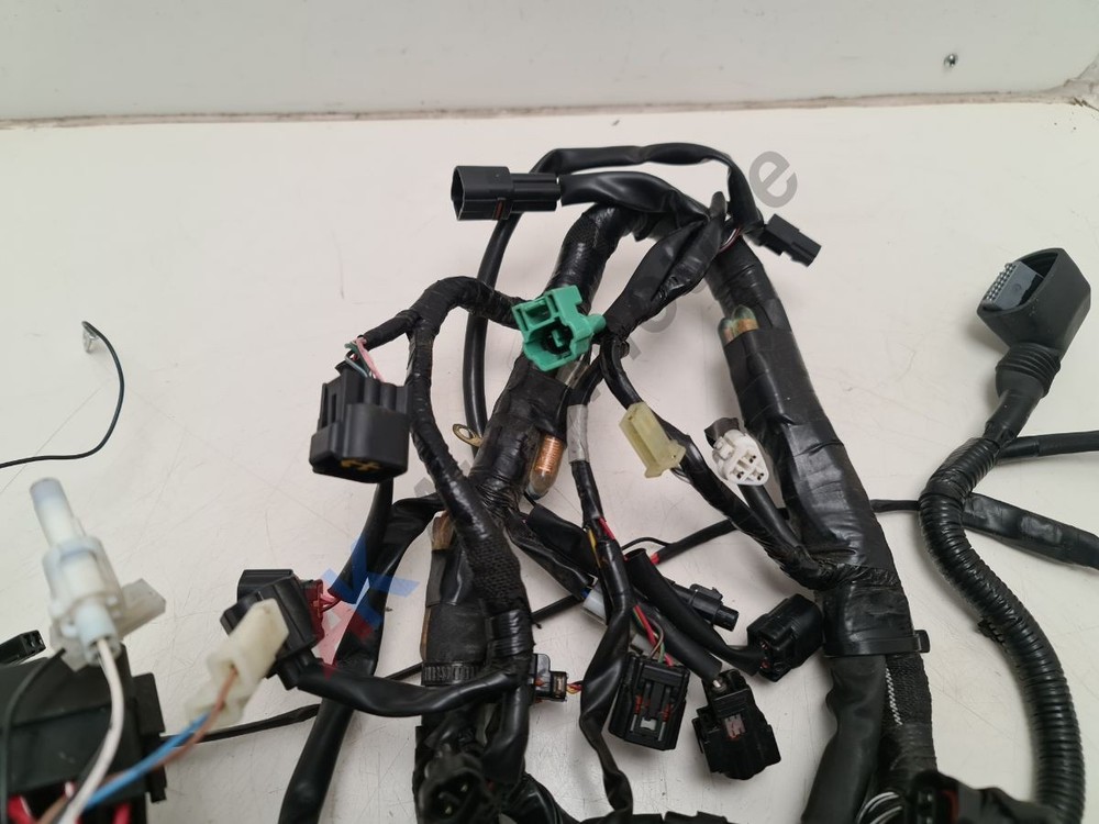 SUZUKI SV650 AL9 2019 - Wiring Harness