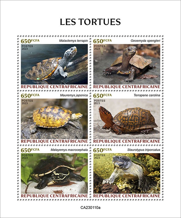 Turtles