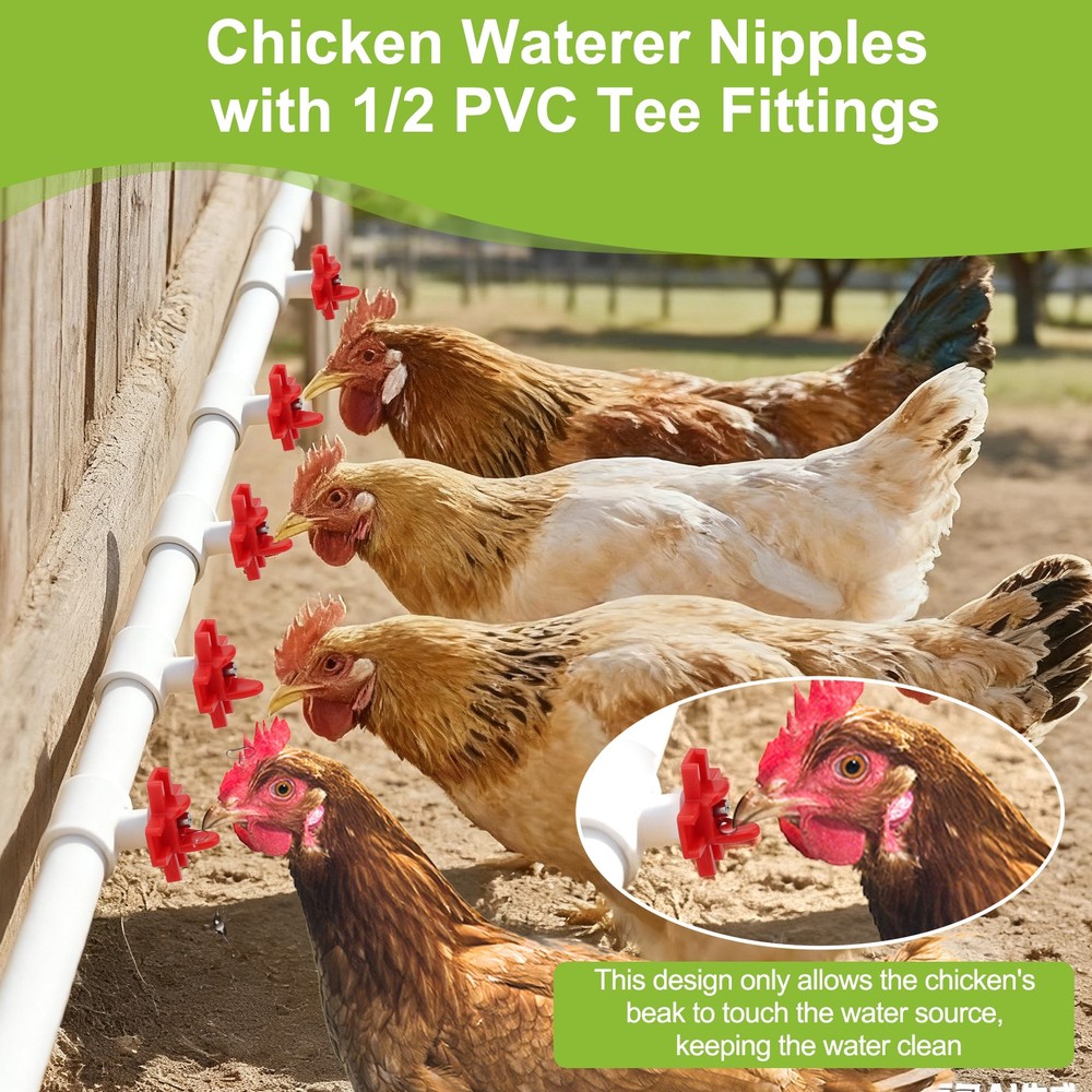 12 PCS Chicken Nipples Automatic Waterer Poultry Drinker Hen Duck Quail Drinking