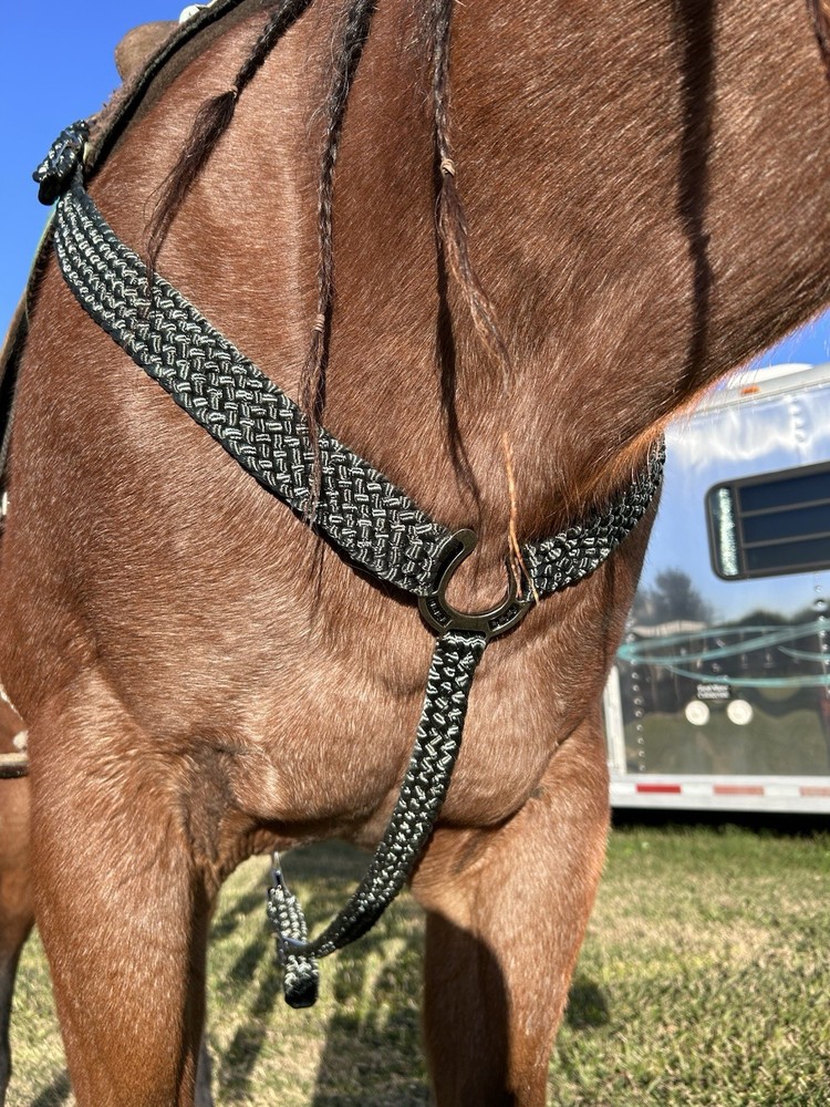 Mule Tape Breast Collar, Custom Made