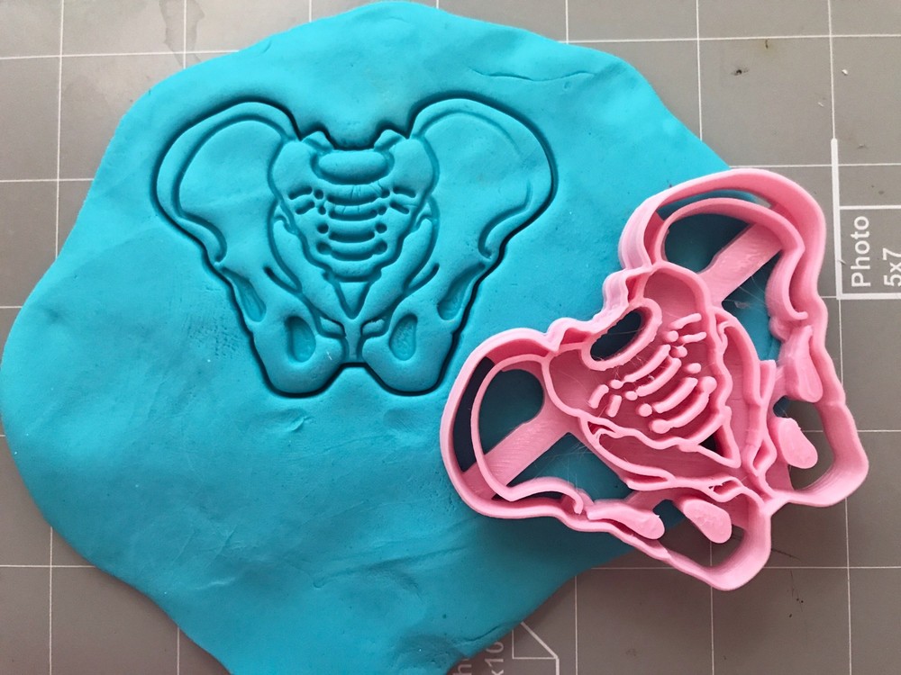 Pelvis Cookie Cutter