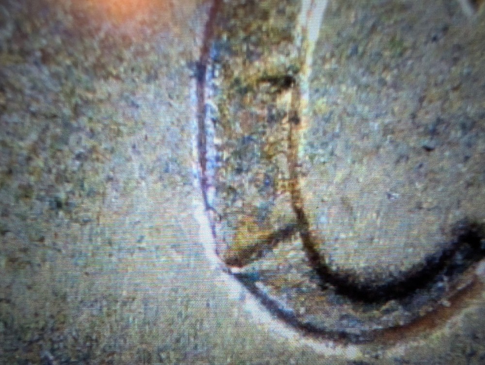 61 D Penny Mint Condition With Several Errors