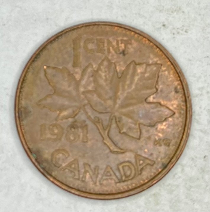1981 Canadian Penny 1-Cent Coin