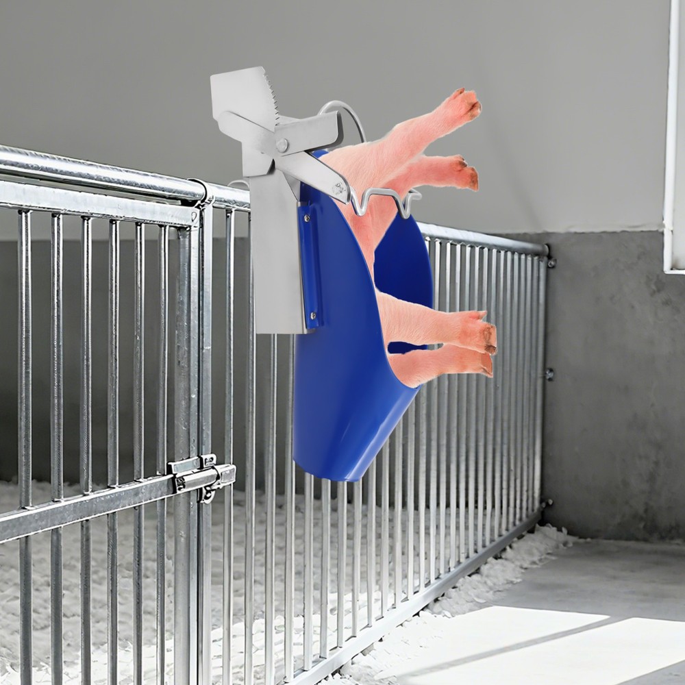 Piglet Castration Rack Pig Sterilization Tool Veterinary Tool Pig Frame | Small