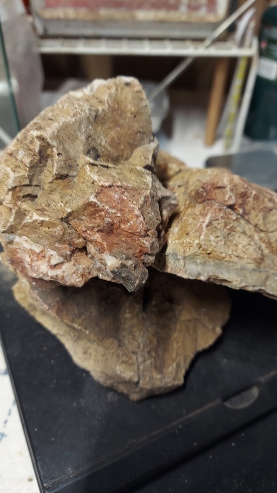 5 Lbs Gold Ore Large Course Unprocessed Mahoney Mine