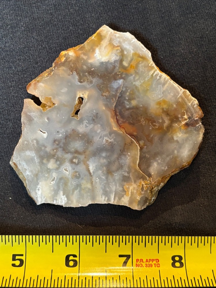 Graveyard Point Plume Agate rock slab lapidary cabbing rough