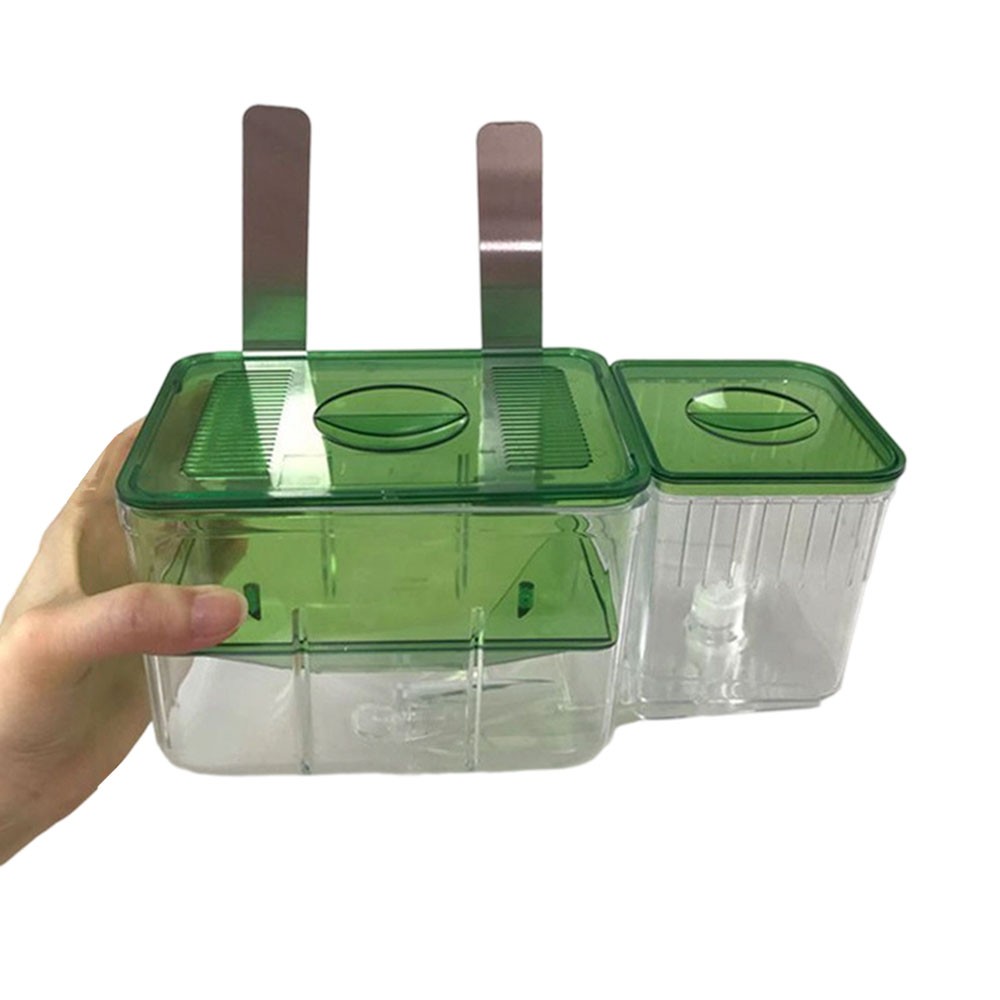 Separation Breeder Box Small Fish Hatchery Fish Spawning Box Hanging Type