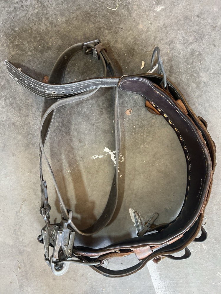 Buckingham Pole climbing belt