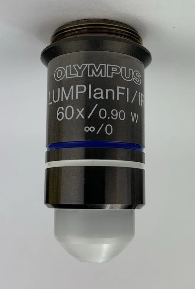Olympus Microscope Objective LUMPlanFL / IR 60x W Water Immersion RMS Infinity