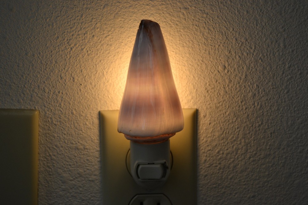 HAWAIIAN SUTURED CONE SEA SHELL NIGHT LIGHT BATHROOM KITCHEN #7228