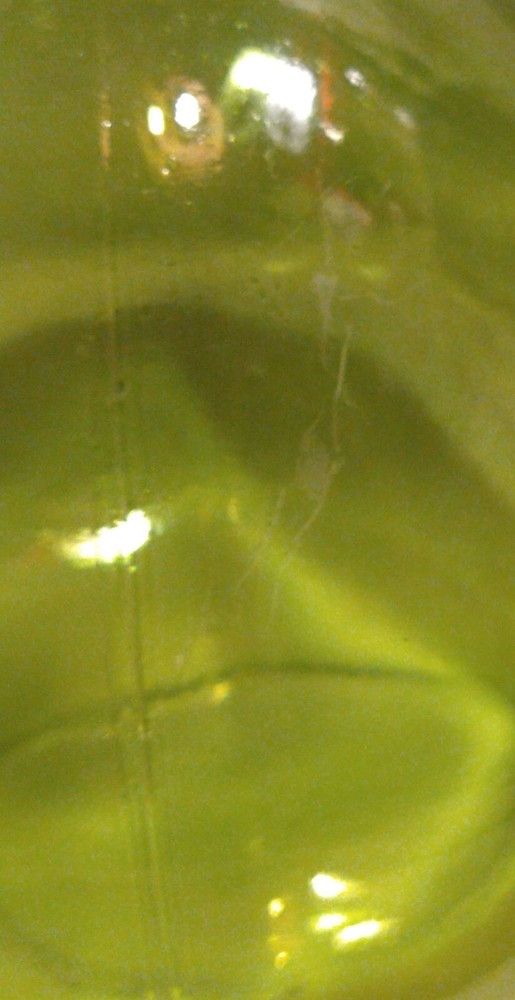 Recycled Green Glass Vase Hand Blown