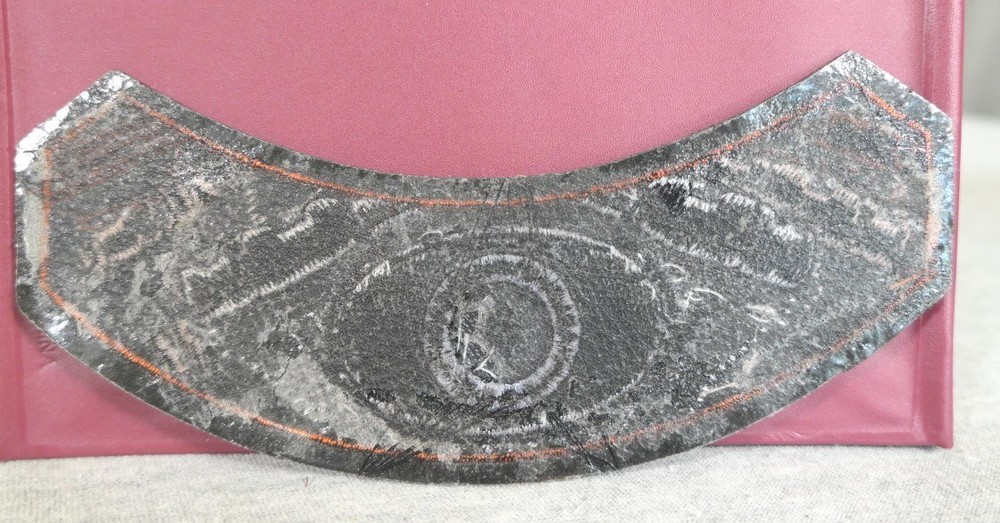 NEW 2007 Harley Davidson Owners Group HOG Engine Iron-on Rocker Patch 5.75"