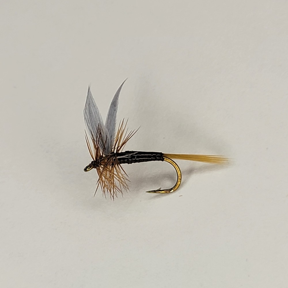 Ginger Quill | Size #14