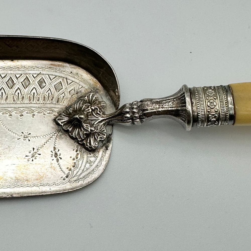Antique Silver Plate Engraved Crumb Scraper Ivory Cream Handle