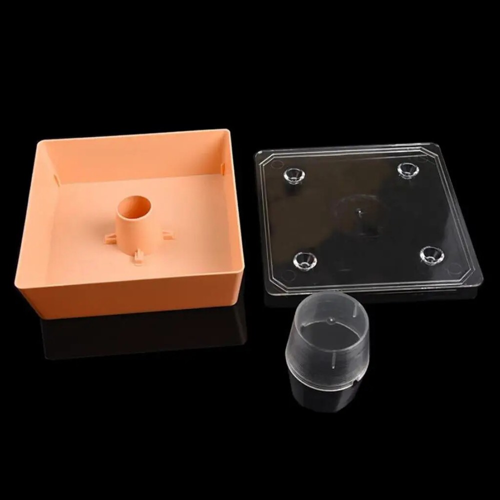 Beehive Bee Feeder Beekeeper Tool Easy to Use