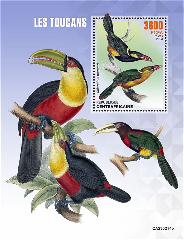Toucans