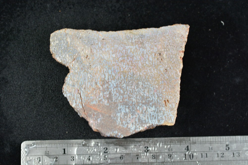 Blue Agatized Dinosaur Bone Utah 144 grams