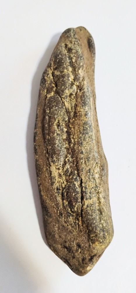 6 Petrified Fossil Bones