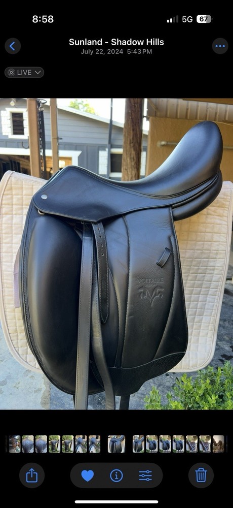 Voltaire Adelaide Dressage Saddle 17.5
