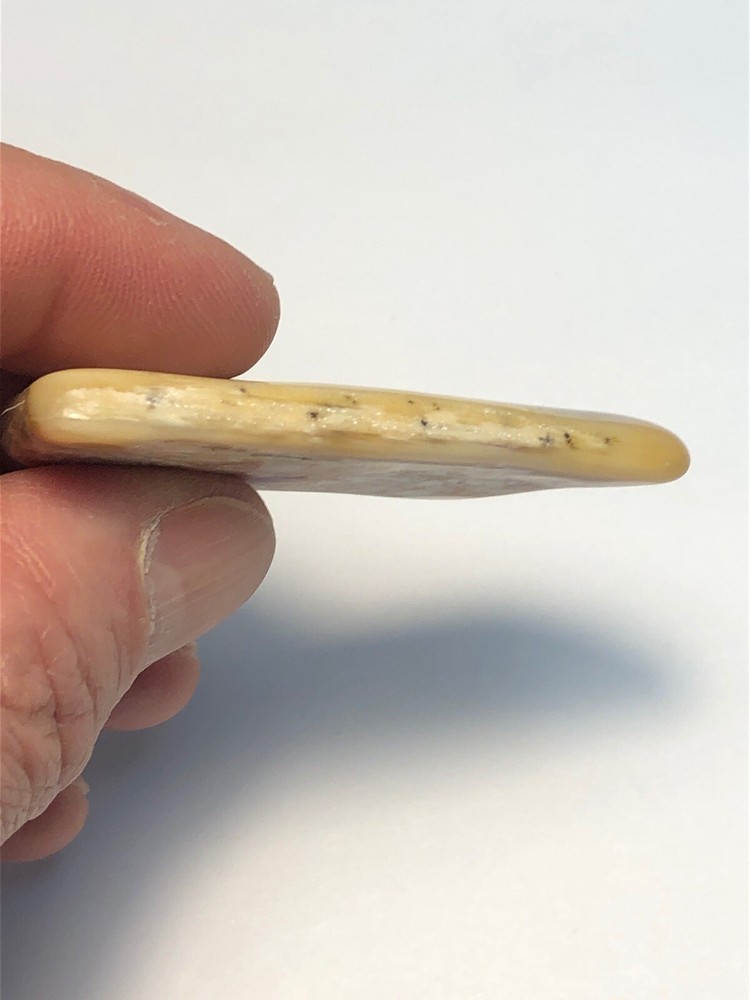 Yellow Petrified Wood. 18g