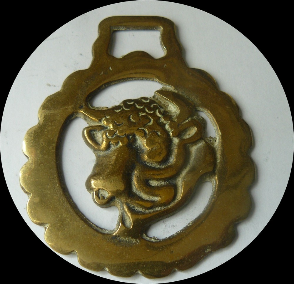 BULL'S HEAD    horse brass (6557)