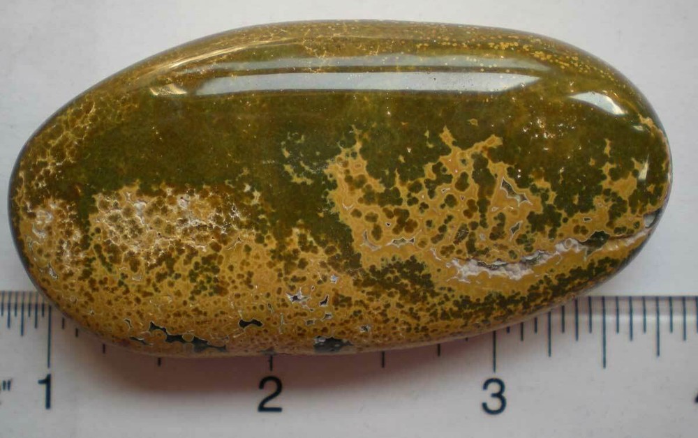 Ocean Jasper Palm Stone sc687r