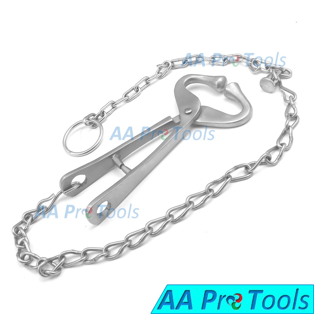 AA Pro: Bull Holder With Hole Hook & Chain Light Pattern