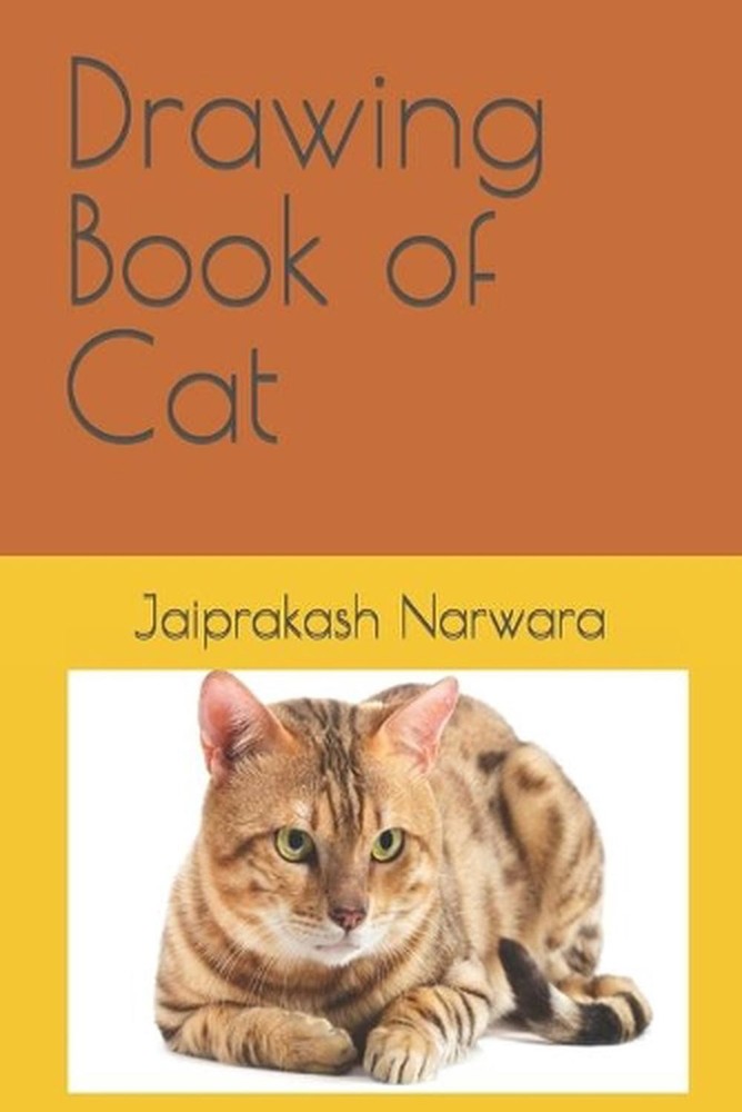 Drawing Book of Cat