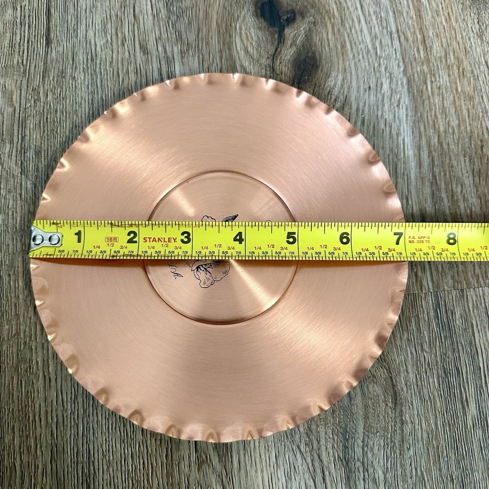 Solid Copper Sego Lilly Utah Wall Mount Plate Decoration 7” Dia Square Dance