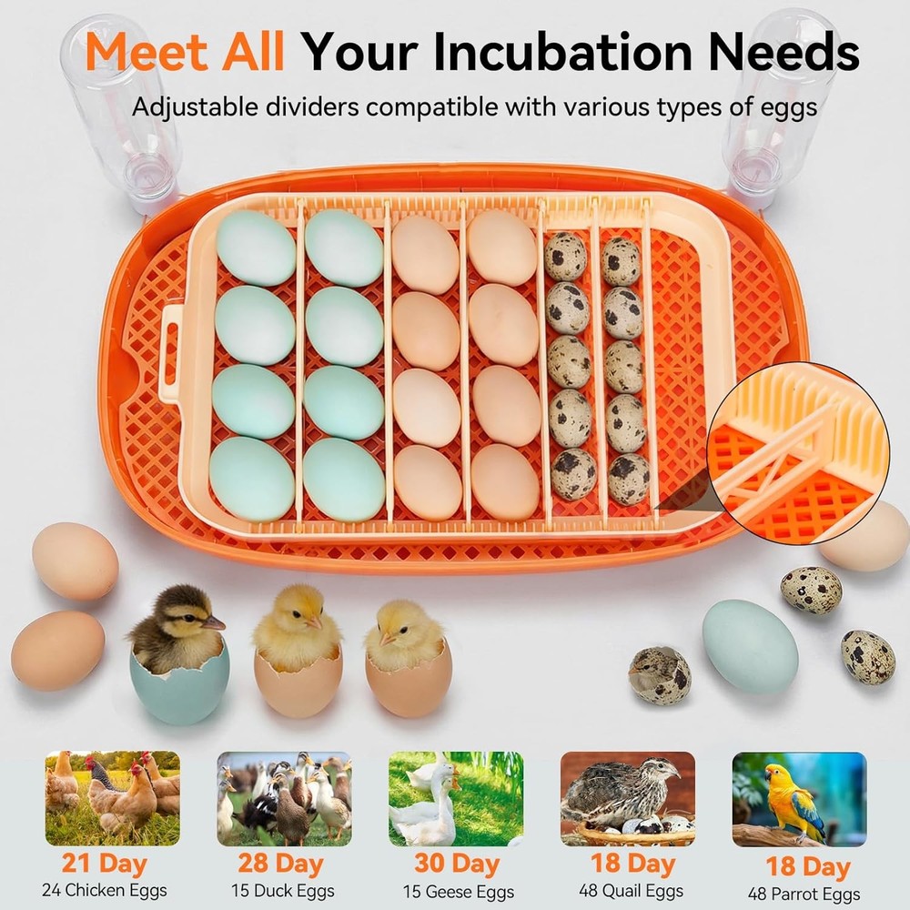 Incubators Hatching Eggs 24 Egg Incubator Automatic Egg Turner W/ Humidity