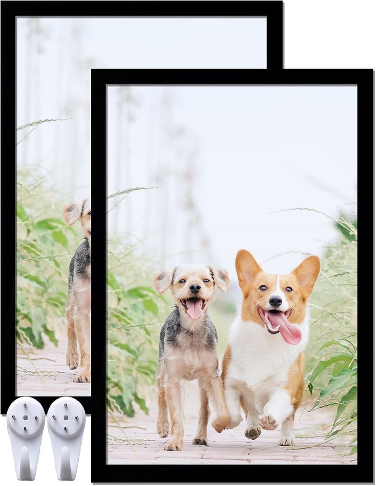 Picture Frame Set (2-Pack), Black Frames Dimensions: 16 x 24 inches