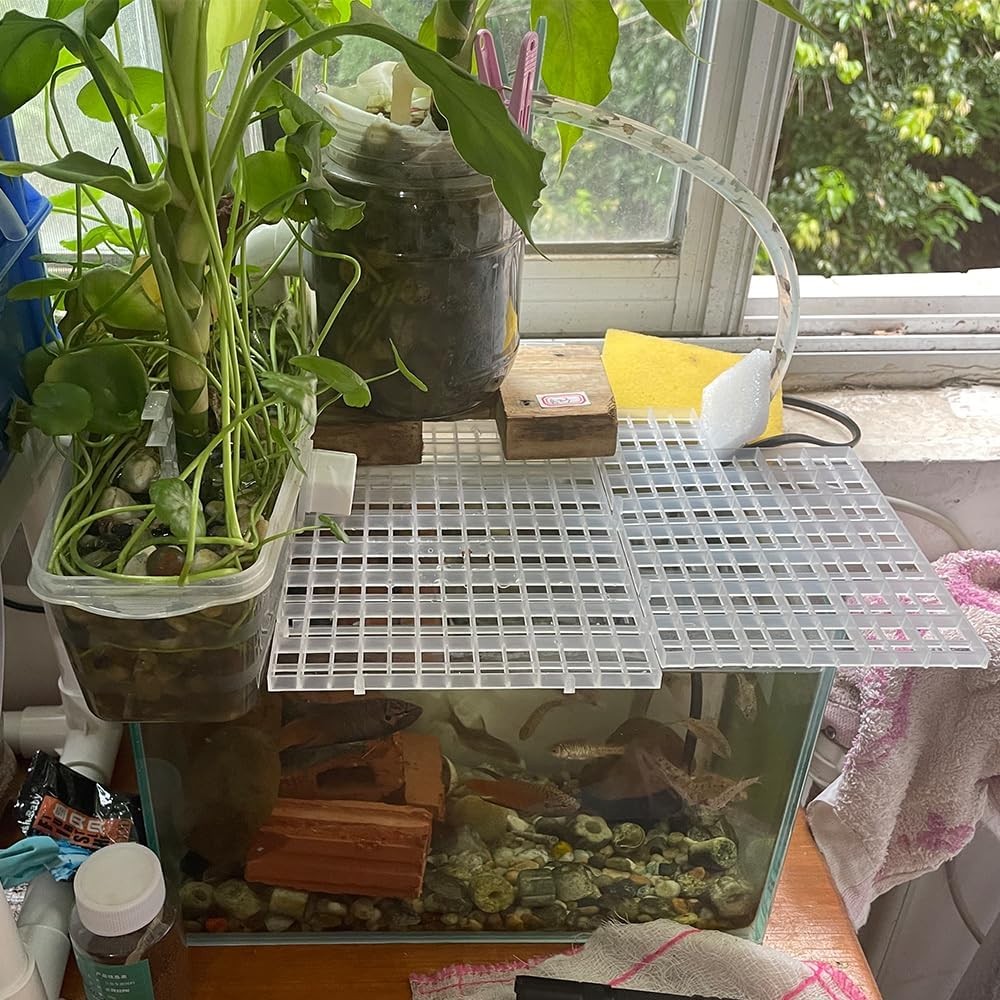 Plastic Aquarium Divider Grid for Fish Tank Filter - Egg Crate Separator