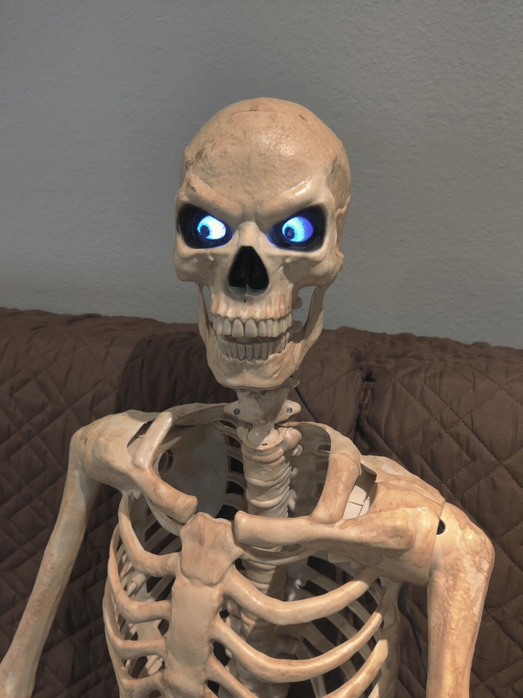 Digital Eyes Kit, Halloween Digital Eyes, Prop Builder, Halloween skeleton