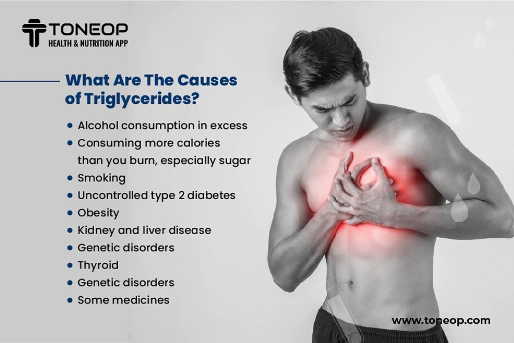 TRIGLYCERIDES REMOVER & FLUSHER - LOWER YOUR TRIGLYCERIDES & SUGAR 540 Capsules