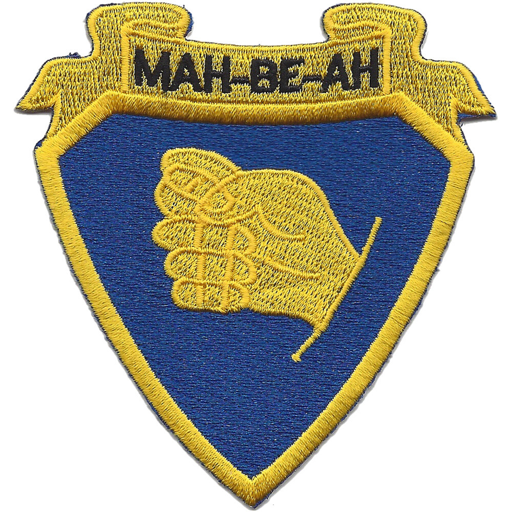 324th Cavalry Regiment Patch