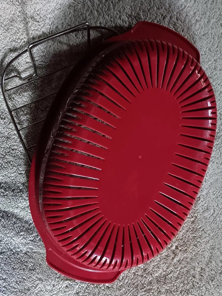 Roaster Pan Insert With Rack