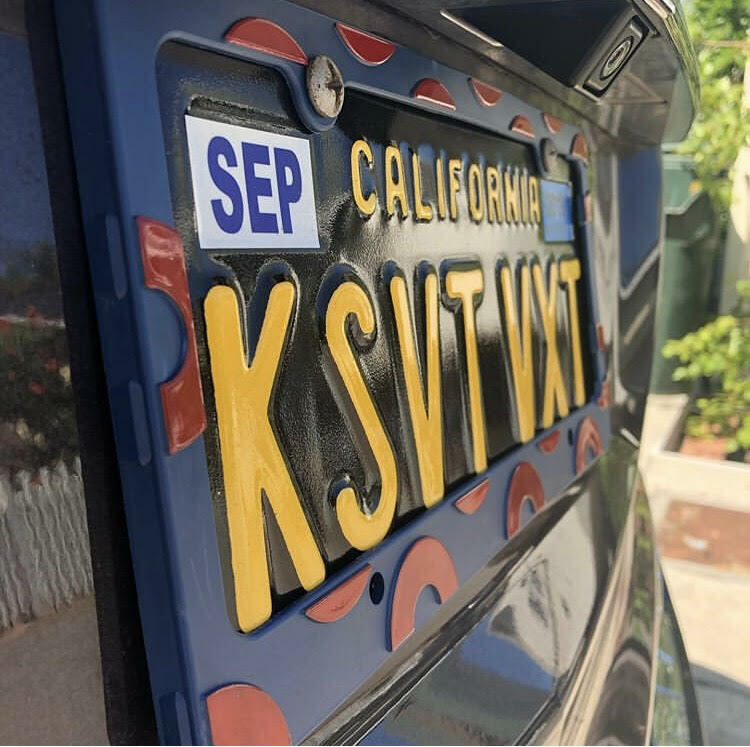 Phish License Plate Frame; RAISED Donuts