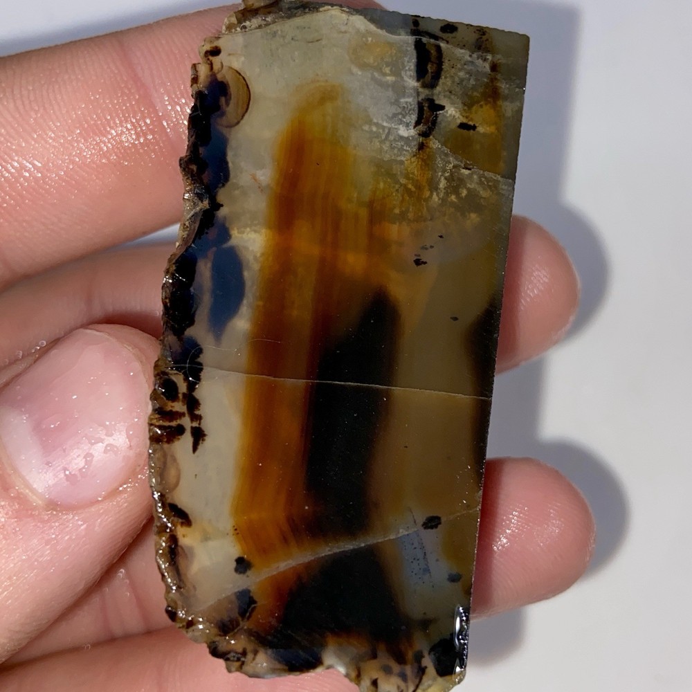 Montana Agate Unique Optical Depth 1.49 Oz