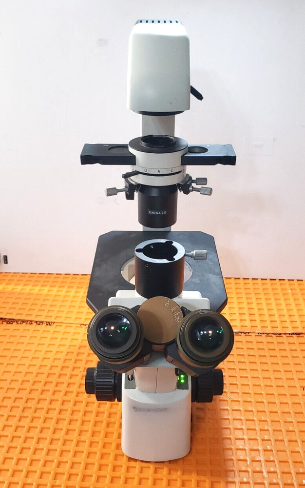 Motic AE31 Series Inverted Microscope with 3 Objectives