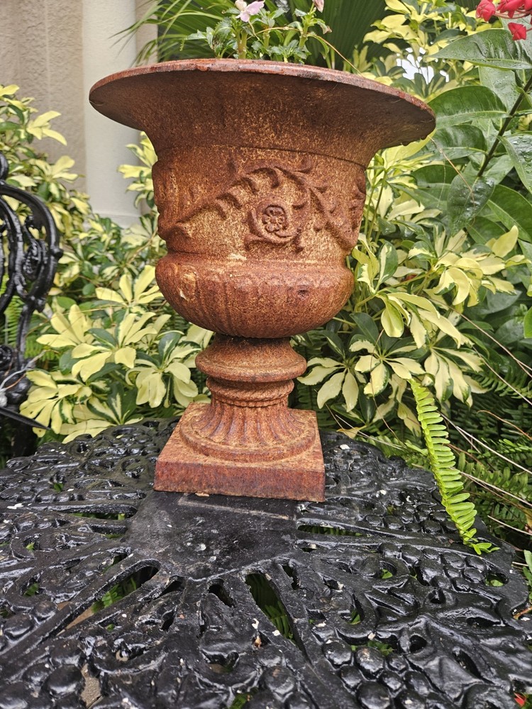 cast iron urn planter