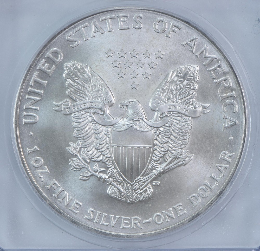 2004 American Silver Eagle Mint Error Struck Thru Authentic ICG